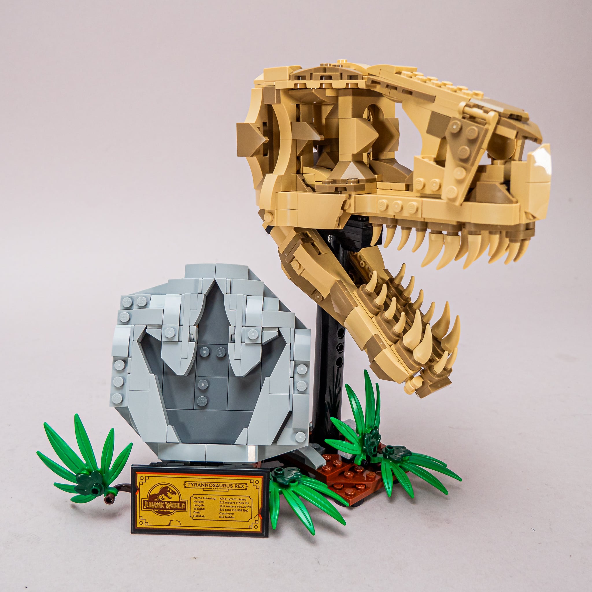 LEGO 76964 Dinosaur Fossils: T. rex Skull quick review - RacingBrick